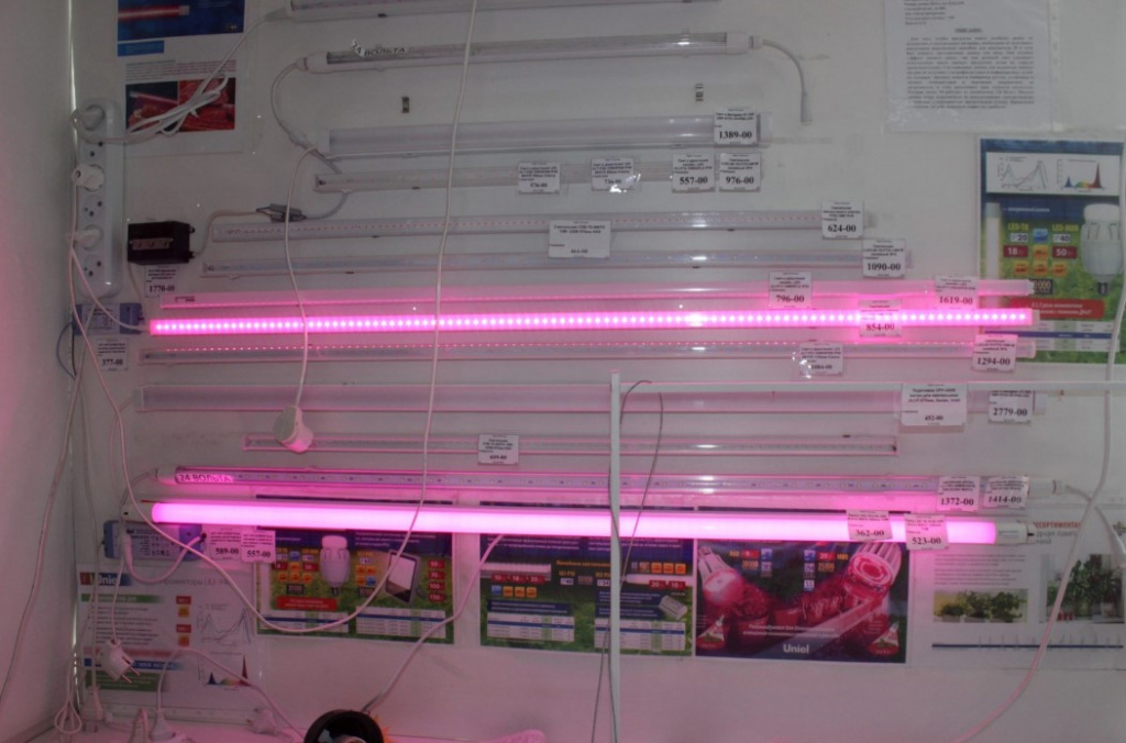 Светотехника Светотехника