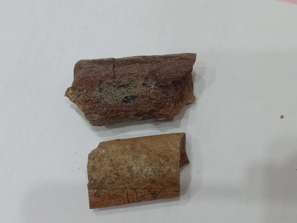 Кости.jpg Кости.jpg