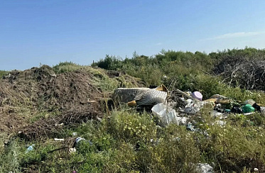 В Благовещенском округе ликвидируют стихийные свалки в Сергеевке и Волково
